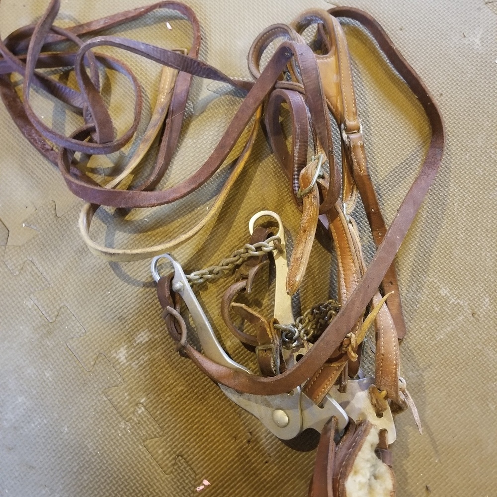 Horse tack real leather